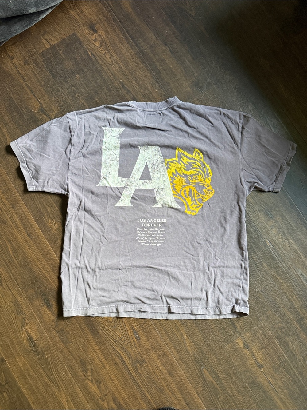 Darc Sport LA Graphic Short-Sleeve Tee in Gray with Yellow Print